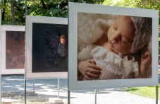 Изложба в Пловдив показва първите вълнуващи мигове на новородените бебета СНИМКИ izlozhba-plovdiv-pokazva-parvite-516.jpg