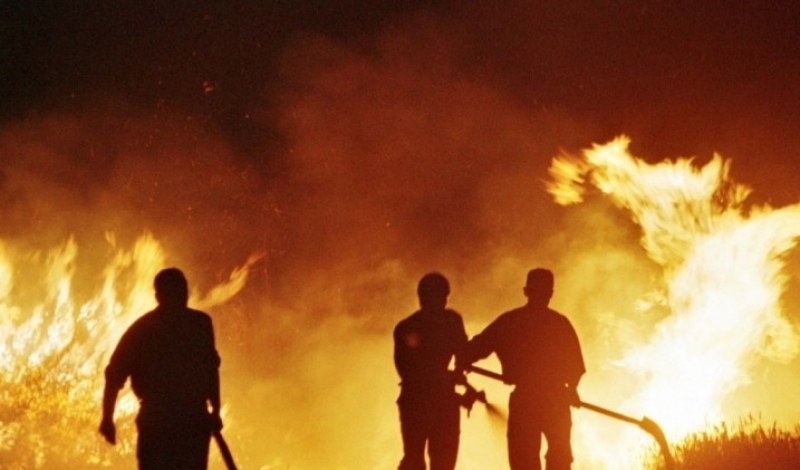 Пожар унищожи земеделска продукция, техника и 300 декара лозя в Карловско