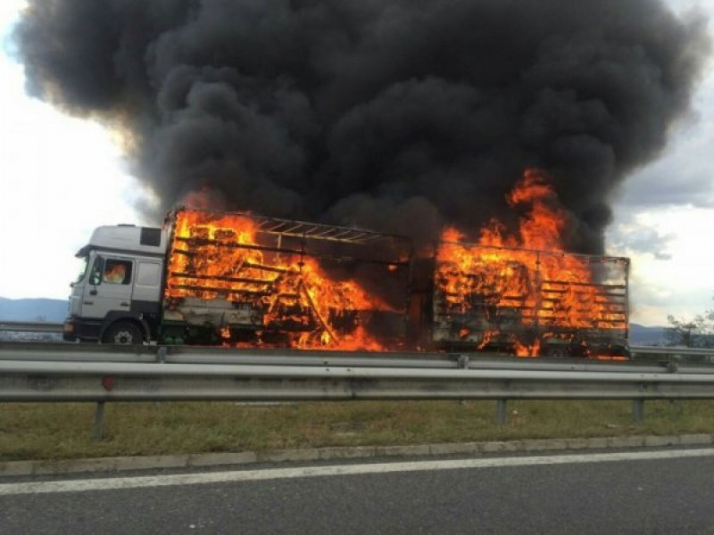 ТИП пламна на магистралата край Пловдив, три пожарни пристигнаха да гасят