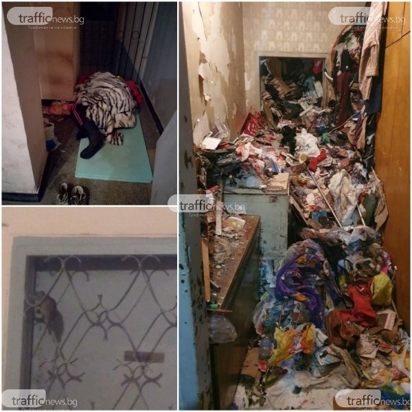 Хорър филм в Пловдив! Зараза се стеле в жилищен блок, плъхове пълзят по етажите, а жена мъкне боклуци 20 години