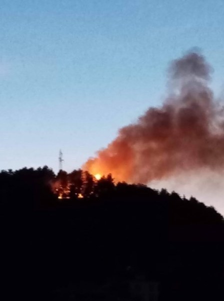 Шефът на пожарната в Пловдив с остри обвинения за палежите