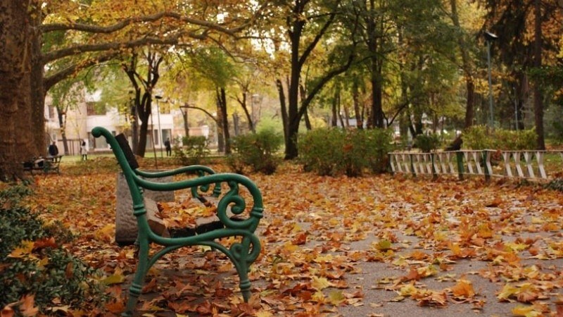 Къде да се забавляваме в Пловдив днес?