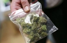 spipaha-sofiianets-marihuana-plovdiv-431.jpg