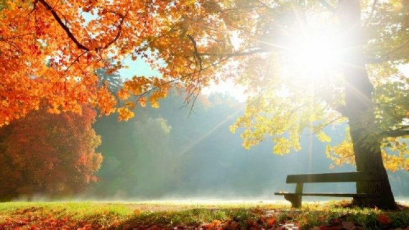 Циганското лято продължава до края на седмицата