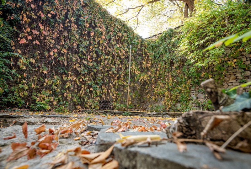 Златната есен превърна Пловдив в картина на Цанко Лавренов СНИМКИ