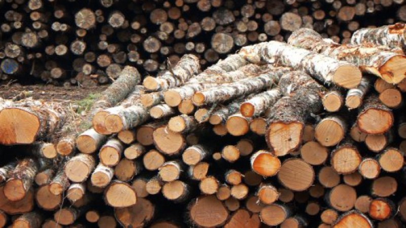 Броени дни до крайния срок за подаване на заявления за целева помощ за отопление