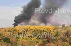pozhar-plamna-krai-umbal-plovdiv-022.jpg