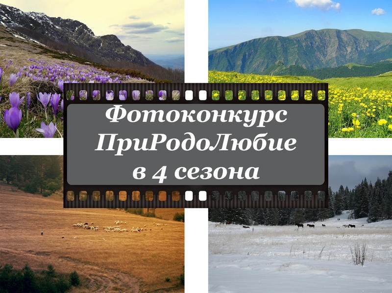 179 фотографии се борят за страхотните награди от конкурса „ПриРодоЛюбие в 4 сезона“