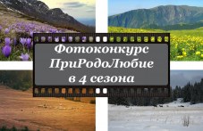 179-fotografii-se-boriat-strahotnite-447.jpg