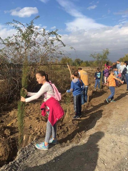 Малки и големи в Брестовица хванаха лопатите и засадиха 100 дръвчета