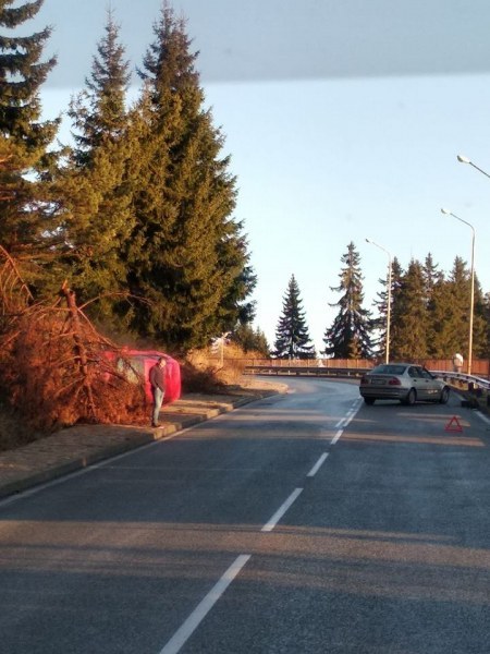 Катастрофа на пътя Асеновград - Смолян, кола се преобърна край пътя