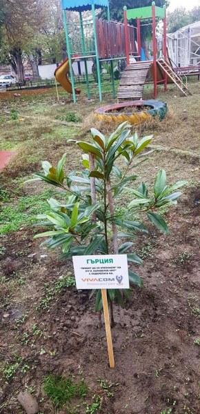 Жителите на село край Стамболийски засадиха дръвчета в чест на чужденците, които живеят там