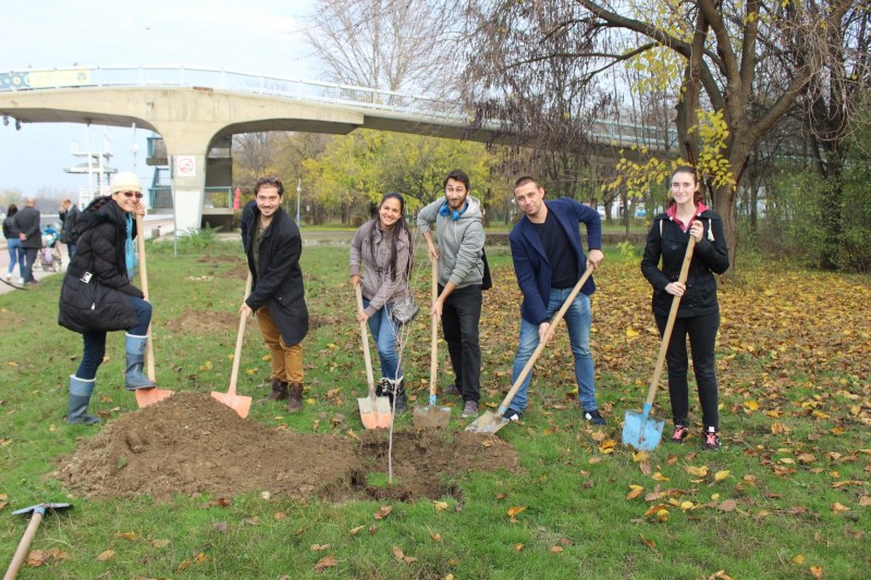 Нови дръвчета засадиха доброволци на Гребната в Пловдив