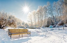 spriaha-dvizhenieto-tirove-rodopite-108.jpg