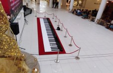 nai-goliamoto-piano-sveta-doide-da-427.jpg