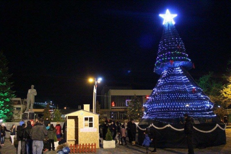 Грейва елхата в Сопот и слага символично начало на Коледните празници