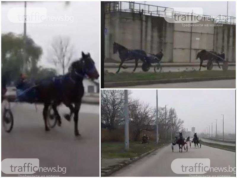 Роми си правят кушии с бясна скорост на пловдивски булевард