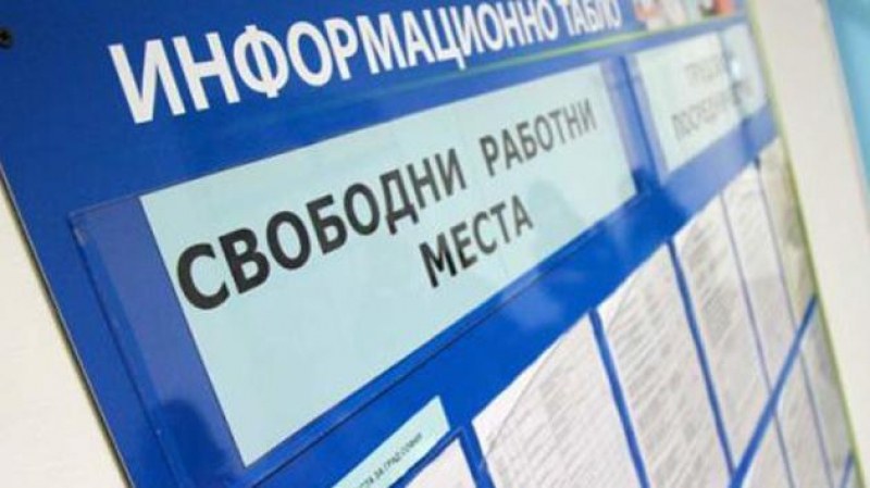 Логопед, психолог, мениджър и директор търсят в Карлово и Сопот, има и над 40 места за работници Логопед, психолог, мениджър и директор търсят в Карлово и Сопот, има и над 40 места за работници