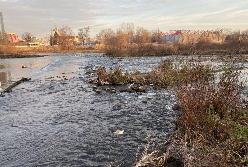 Замърсяването на река Марица ще вреди още 6 месеца на флората и фауната