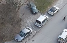 park-trakiia-prilicha-parking-shofyori-636.jpg