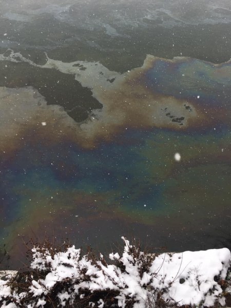 Голямо мазно петно във водите на Чая разтревожи асеновградчани