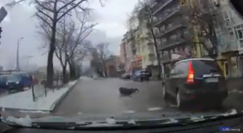 Кола отнесе пешеходец на къстовище в Пловдив