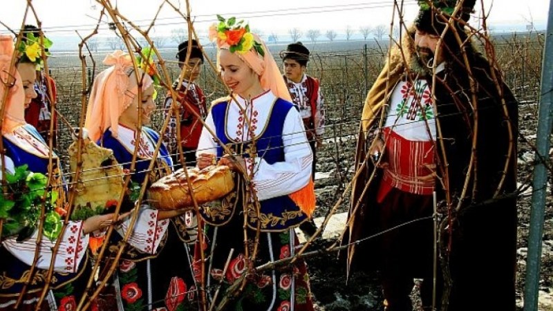Вино се лее утре в Пловдивско, зарязват се лозя, земята се люлее от кръшни хора