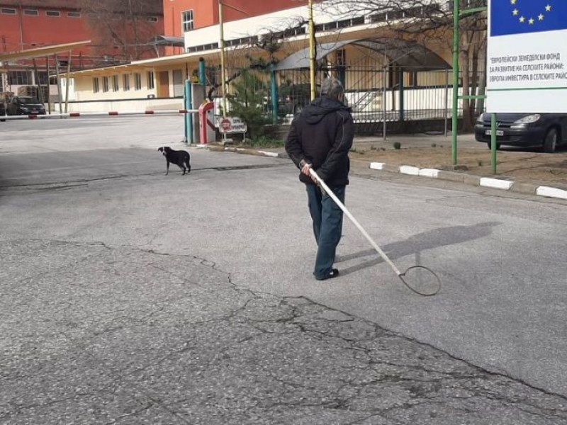 Детските площадки в Асеновград не са по изискванията, Общината се бори и с бездомните кучета