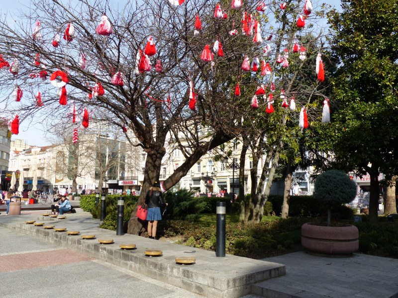 Мартенички кацнаха на дървото в центъра на Пловдив, изненадите продължават навръх 1 март
