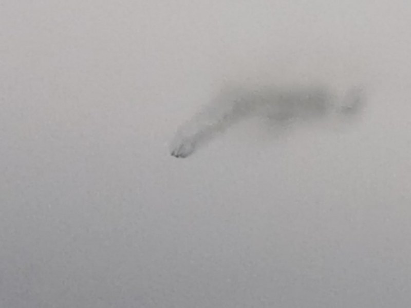 Самолет излетя край Пловдив, гъст обезпокоителен дим излиза от него