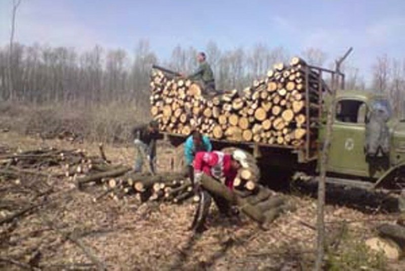 Хванаха два камиона с незаконни дърва за продан в Хисарско, има арестувани
