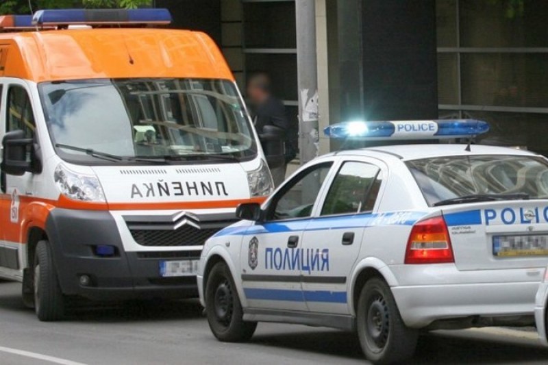Млада шофьорка нацели дърво в Пловдив, в болница е с много травми