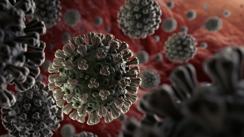 Шест са вече жертвите на коронавирус в България