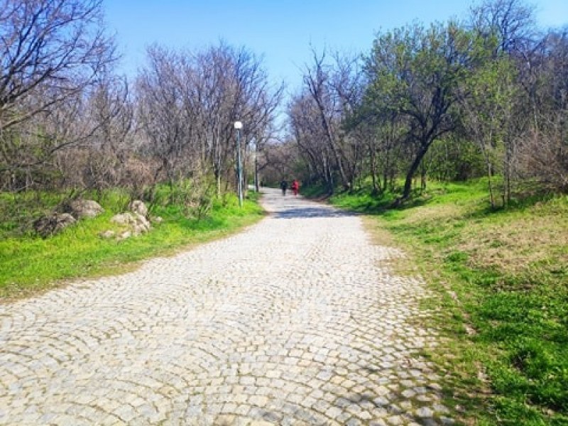 Ще се отворят ли парковете в Пловдив? Кметовете на големите градове отиват при Борисов