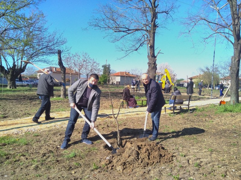 Засадиха 50 фиданки в село Цалапица, две училища в община „Родопи” получиха дарение