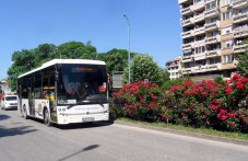 gradskiiat-transport-plovdiv-vrashta-371.jpg