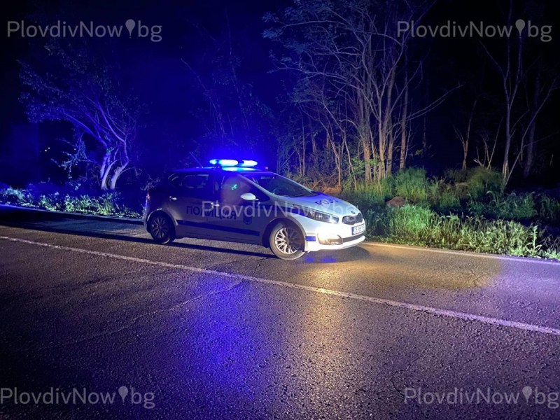 Двама загинали в зверската катастрофа край Карлово, причината - челен удар