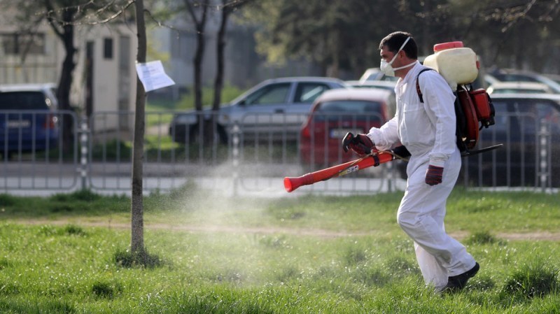 Масово пръскане започва в Пловдив срещу вредни насекоми
