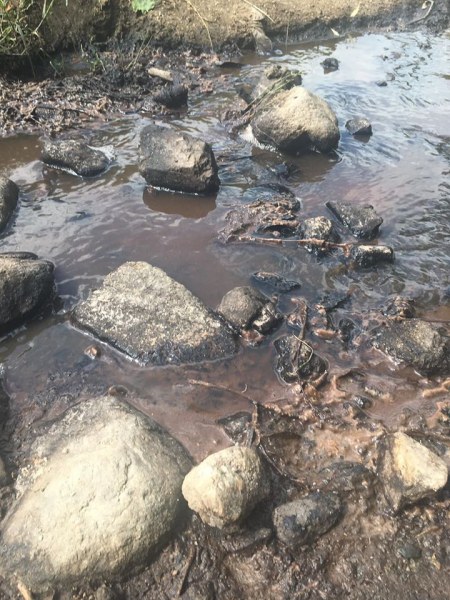 Розоварна в карловското село Слатина замърсява реката, три институции пристигнаха на проверка