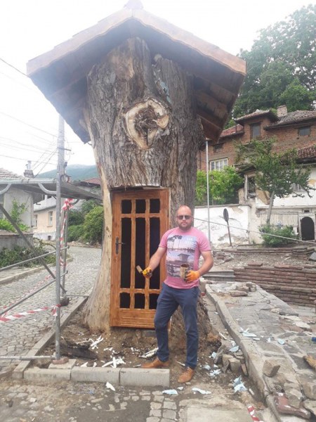 300-годишната топола в Сопот се превръща в къщичка от приказките