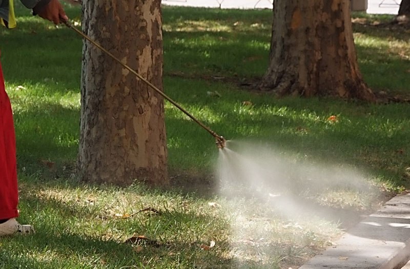 Ново пръскане на зелените площи срещу насекоми в Сопот