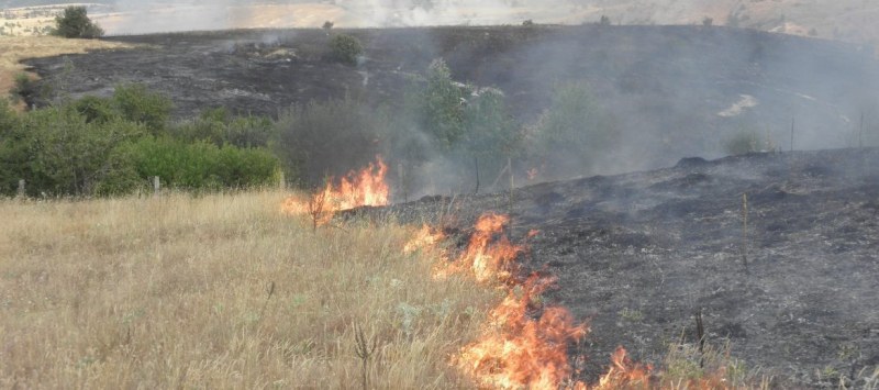 300 декара пшеница изгоряха край Перущица