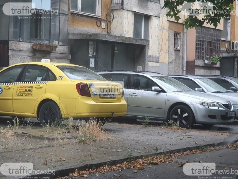 Градушка с големина на грахово зърно удари част от Пловдив