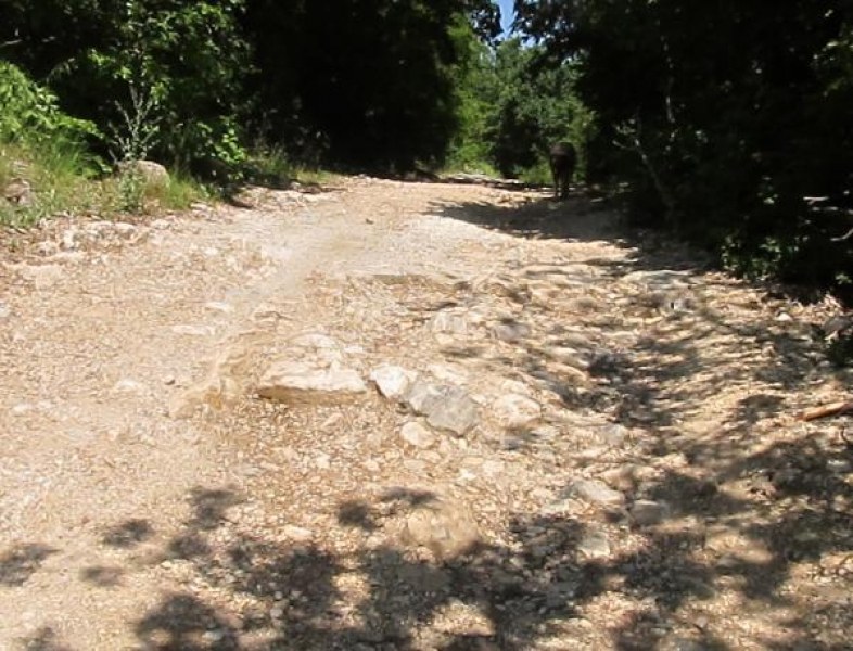 Предстои ремонт на пътя за Мулдавския манастир край Асеновград, държавата обеща средства