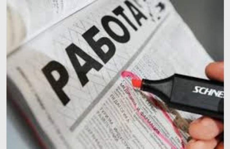 Само 24 свободни места обяви бюрото по труда в Раковски, работа за висшисти няма