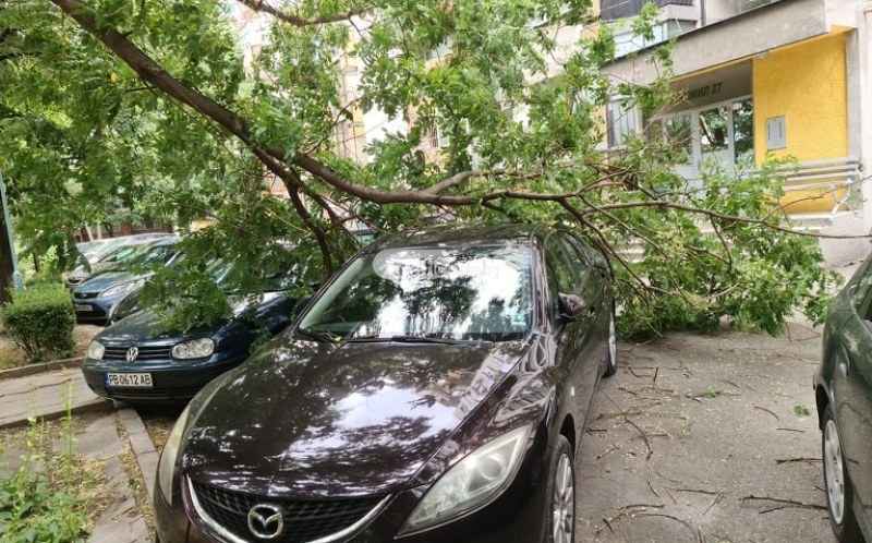 Отново! Огромен клон падна върху кола в центъра на Пловдив