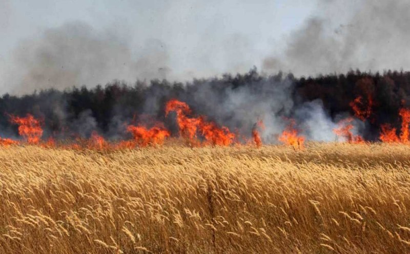 Пожар унищожи 100 дка край Хисаря, нива се запали и край Стамболийски