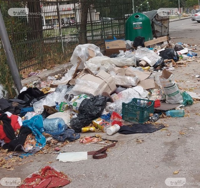Боклуци и животински остатъци осеяха пловдивски паркинг след Курбан Байрам