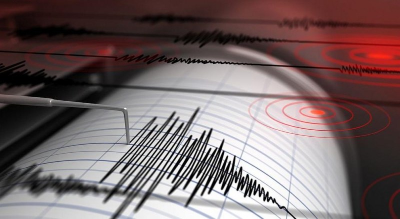 Земетресение се усети в Родопите