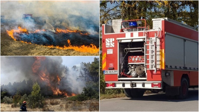 Само за месец: 249 пожара в Пловдивско, горяха общо 400 декара посеви и лозя
